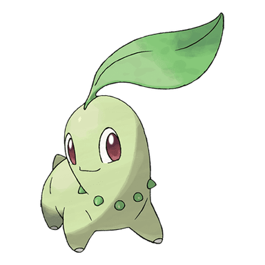 Chikorita